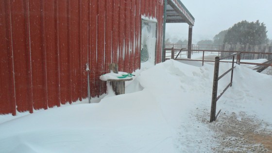 The barn door before I shoveled my way in.