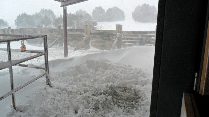 The view out the double barn door. All this is actually under a roof. The wind is blowing the snow everywhere.