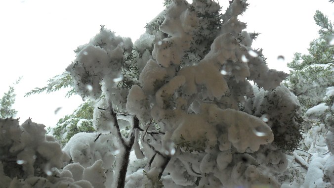 Outside the office window.