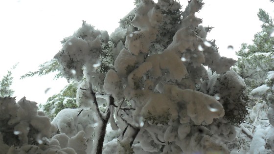 Outside the office window.