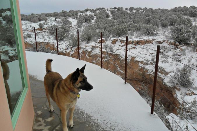 477729_3059472219691_1596792929_o