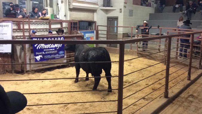 B329785A-35E3-4801-B1B0-A7A3D99B6AE0