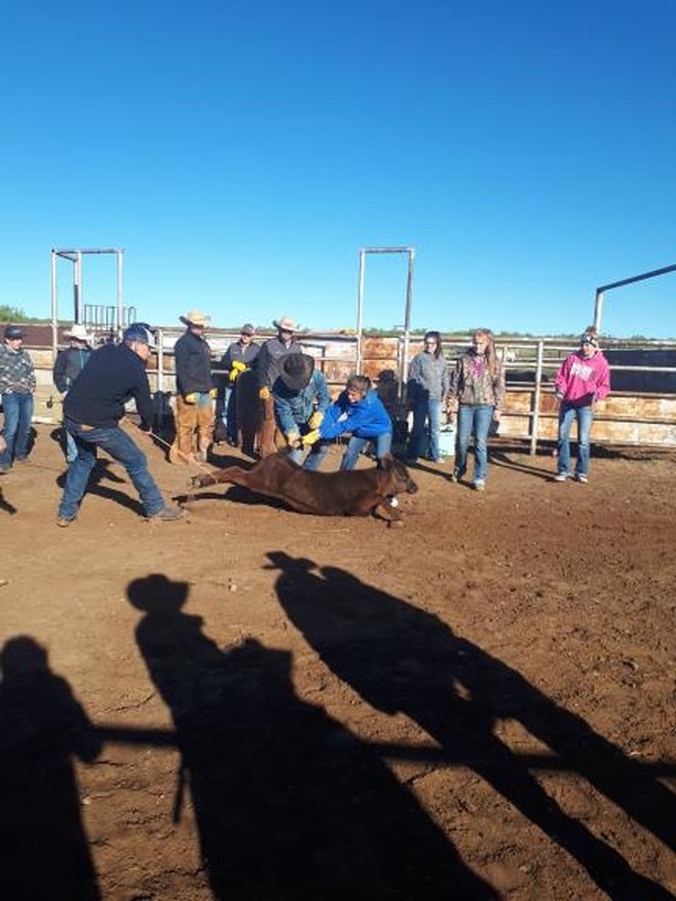 B3E1D974-C097-45CE-9AAA-F93493F547C5